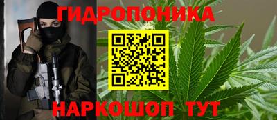сатива Кимры