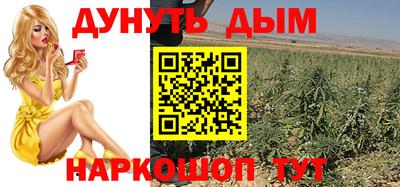 сатива Кимры