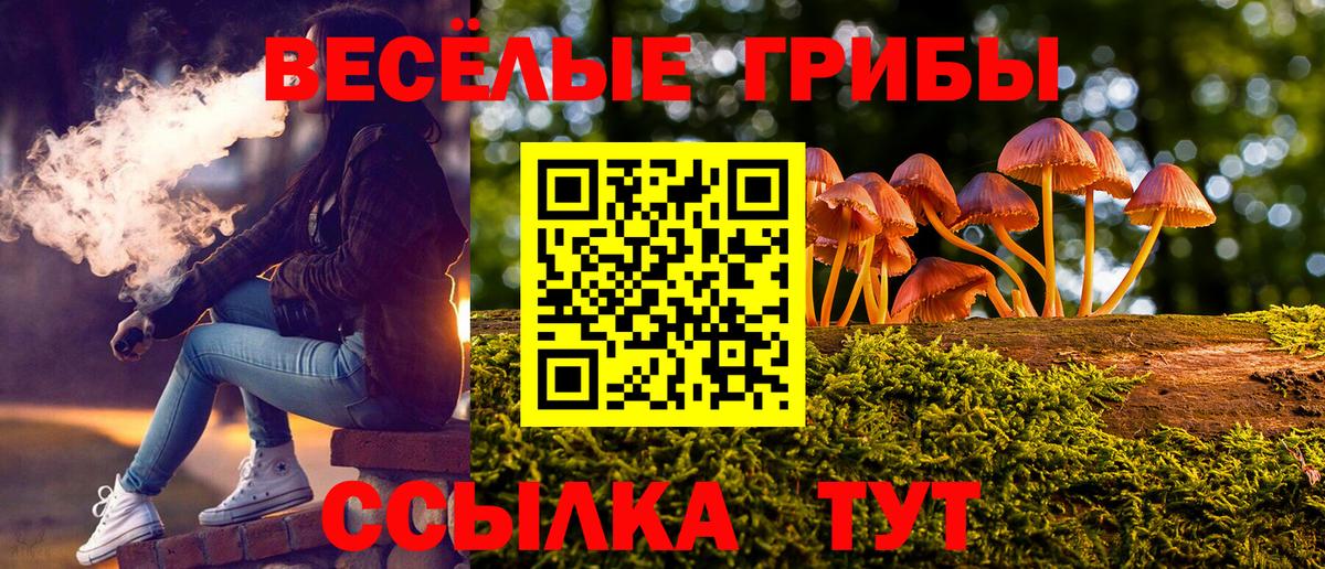 Чайковский  Псилоцибиновые грибы Psilocybe  Галлюциногенные грибы прущие грибы  Вход с VPN 